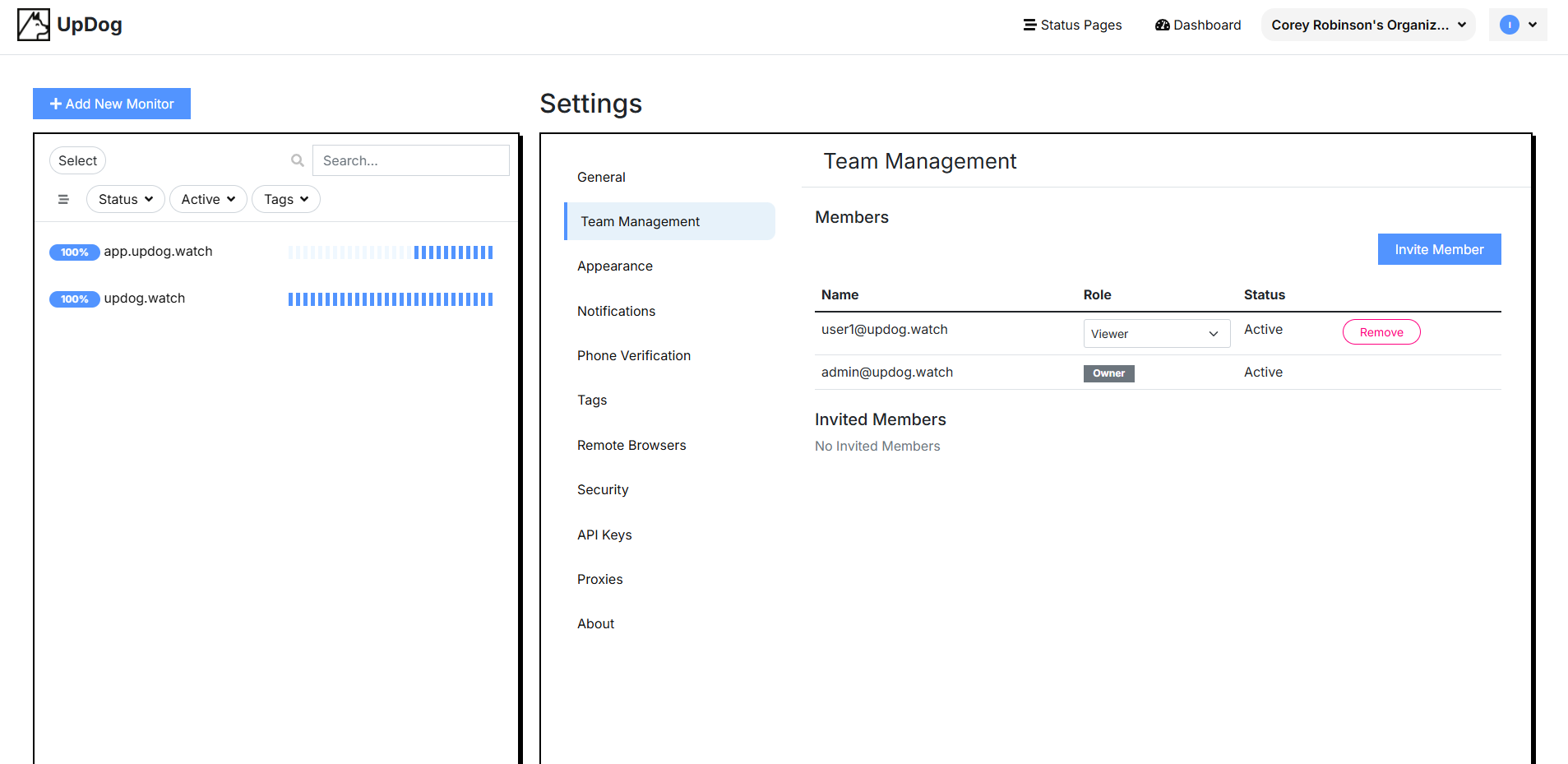 Team Management Interface